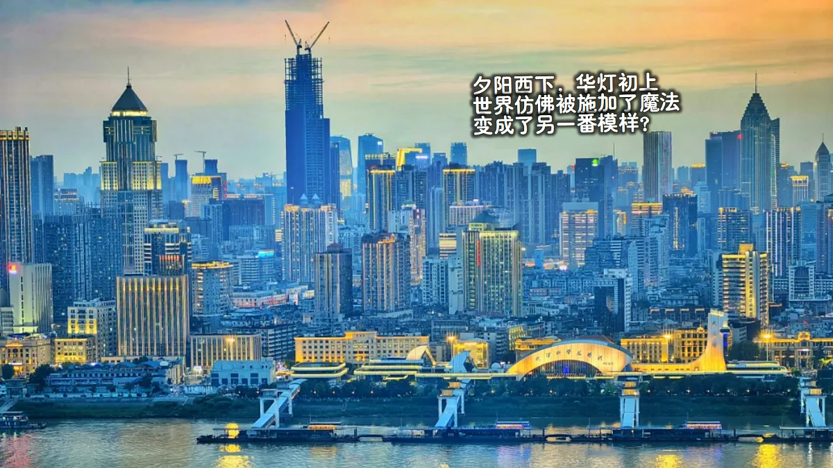 17903319第6页
