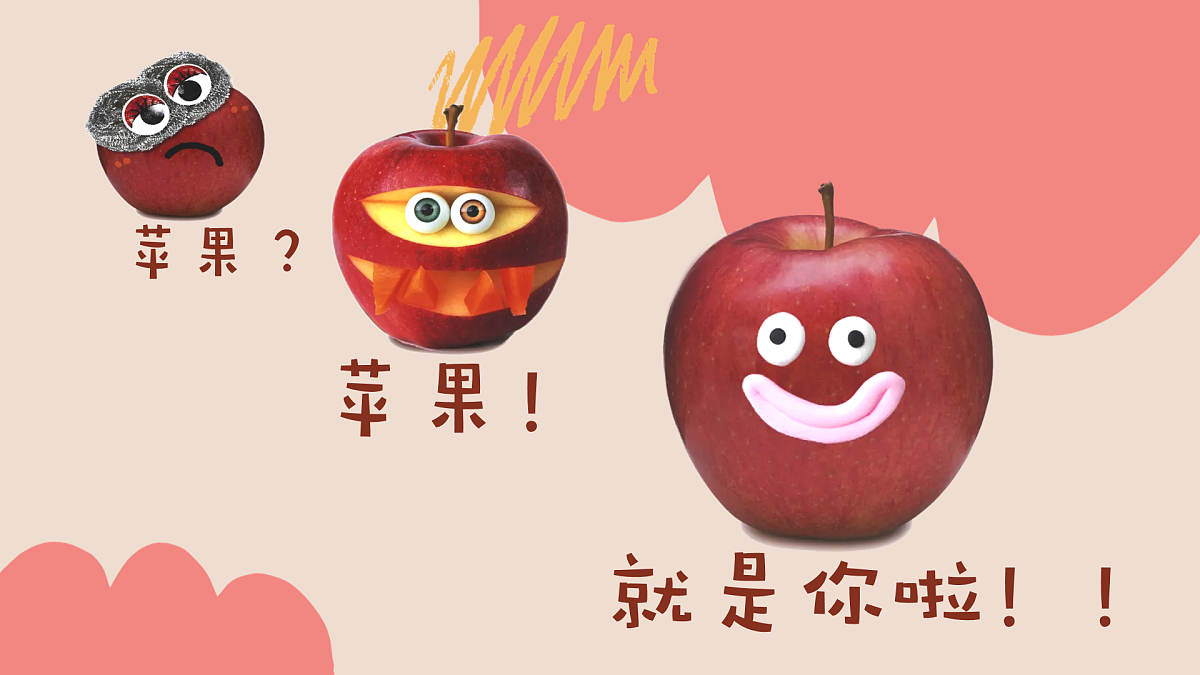 17903321第5页