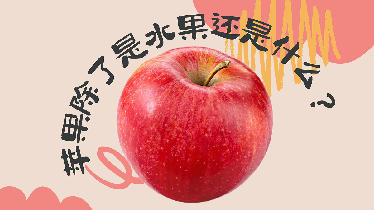 17903321第6页