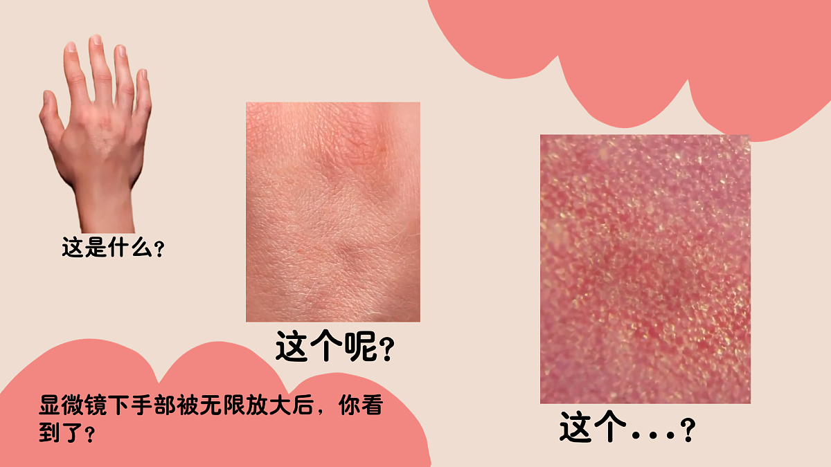 17903325第7页