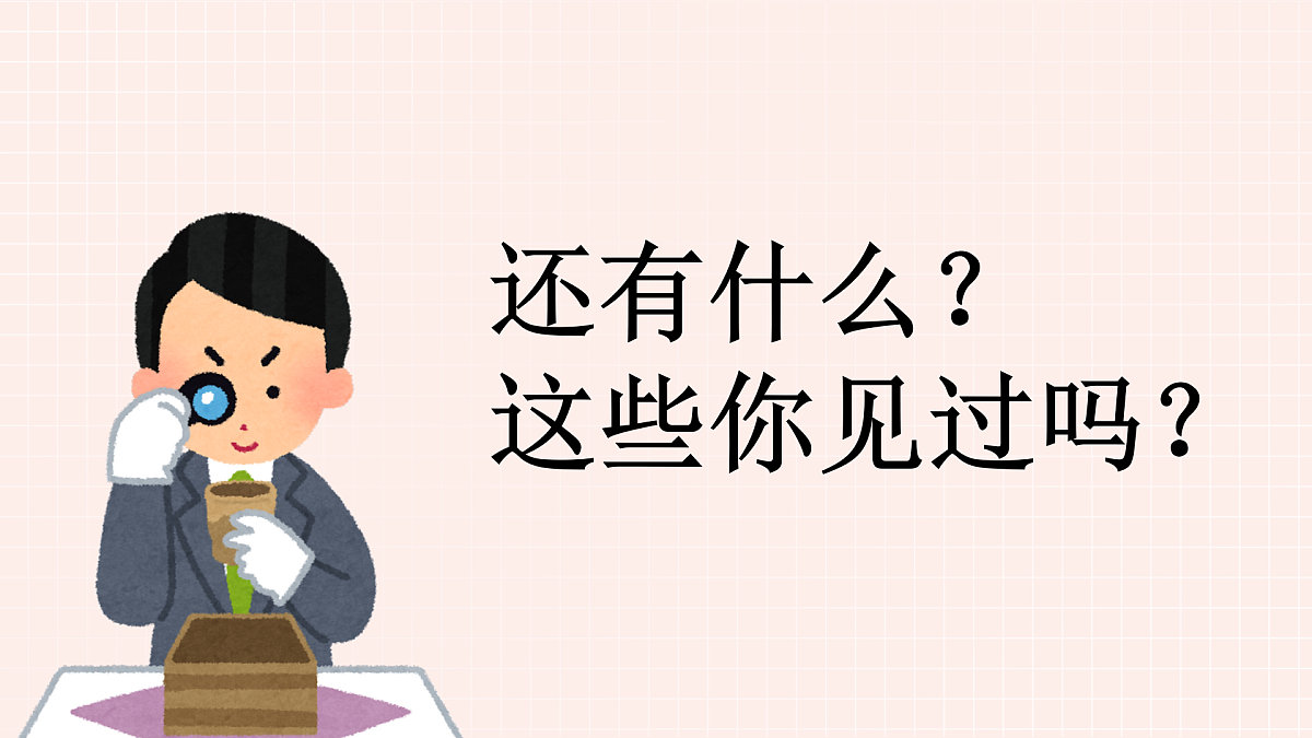 17903349第8页