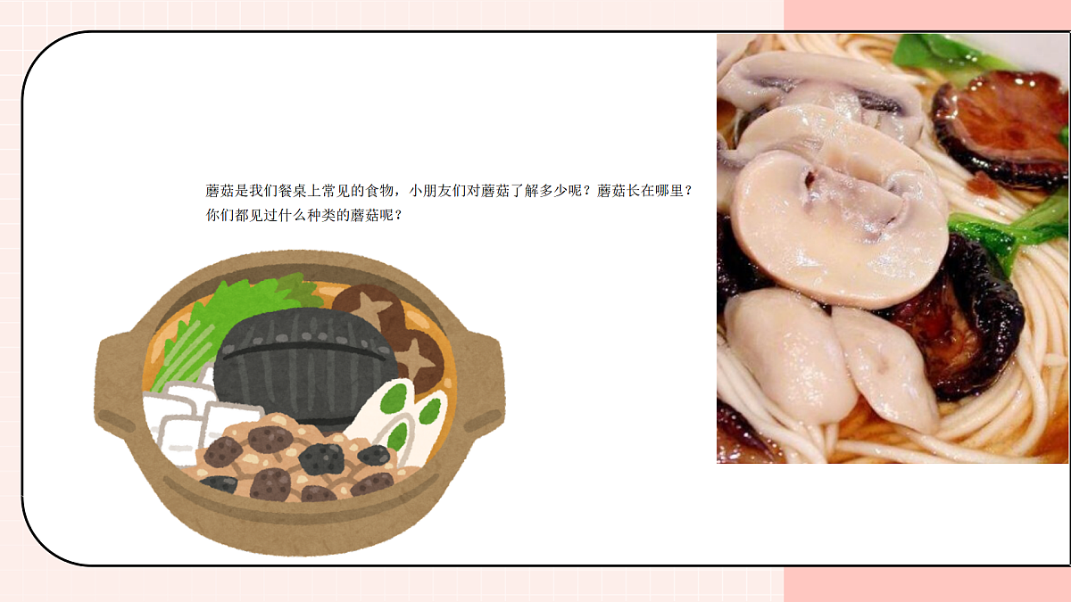 17903350第3页