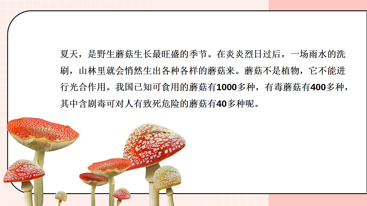 17903350第4页