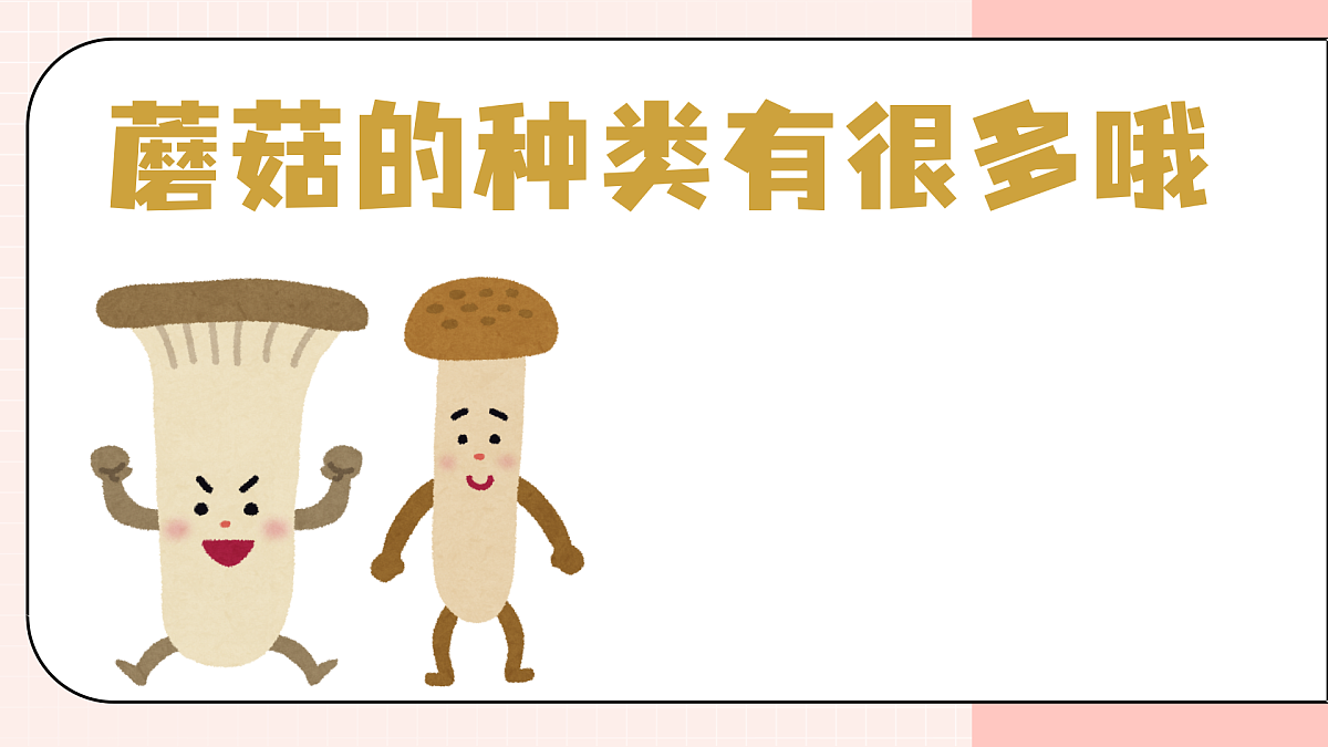 17903350第5页