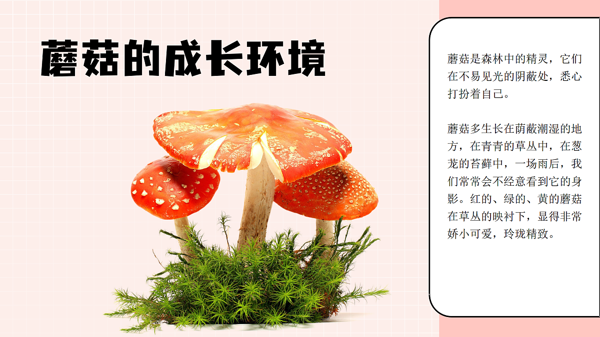 17903350第7页
