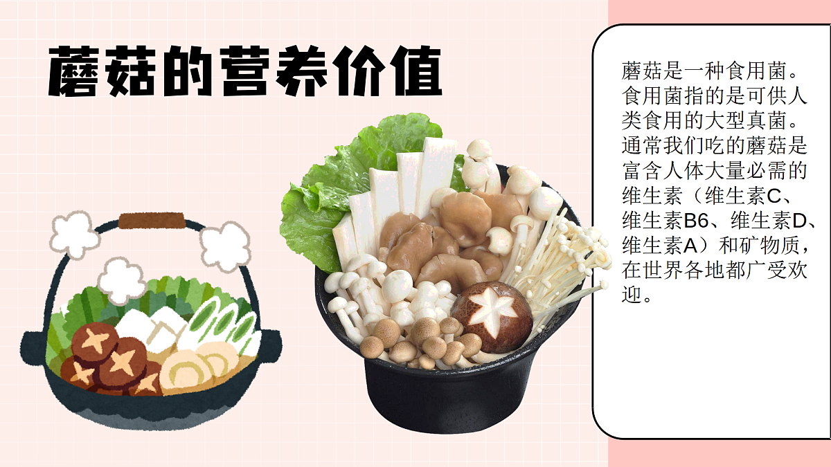 17903350第8页