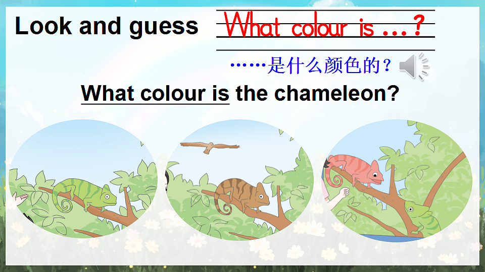 17903374第6页