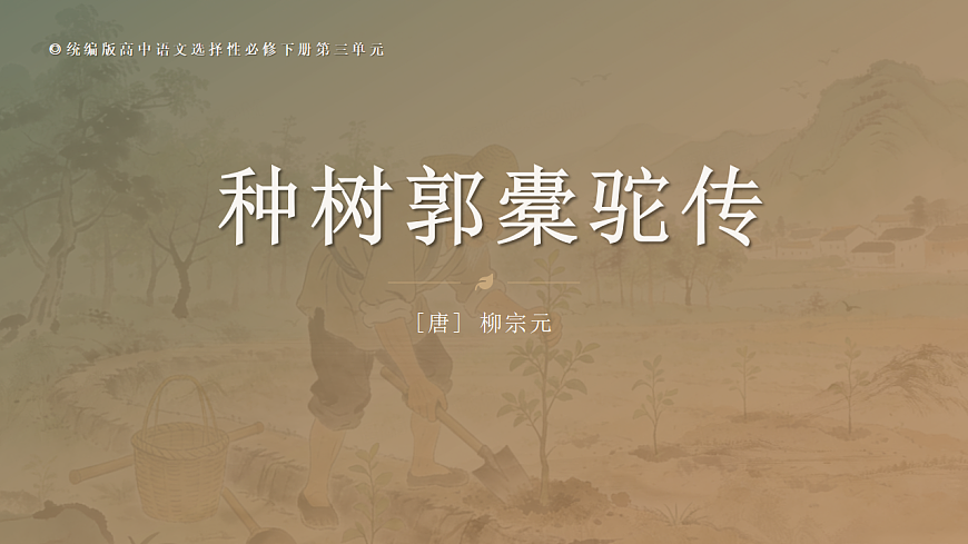 2026年统编版语文选择性必修下册第三单元11《种树郭橐驼传》教学课件第1页