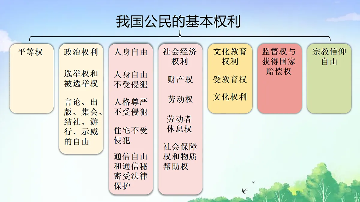 17903567第7页