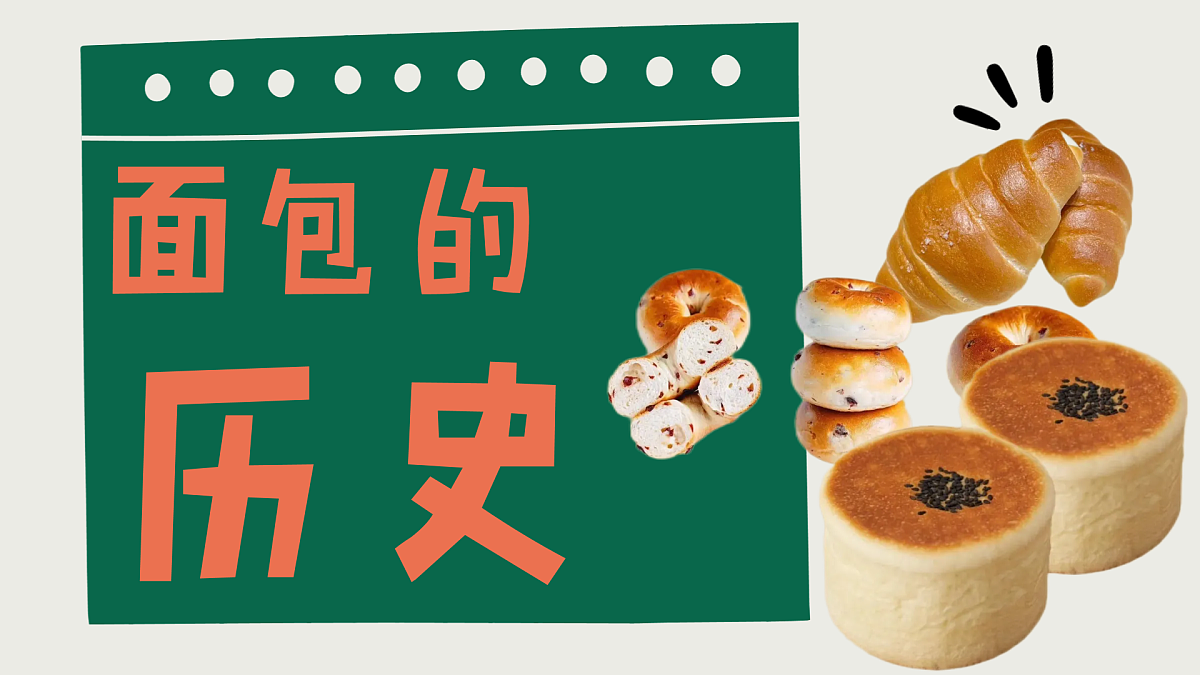 17903849第8页