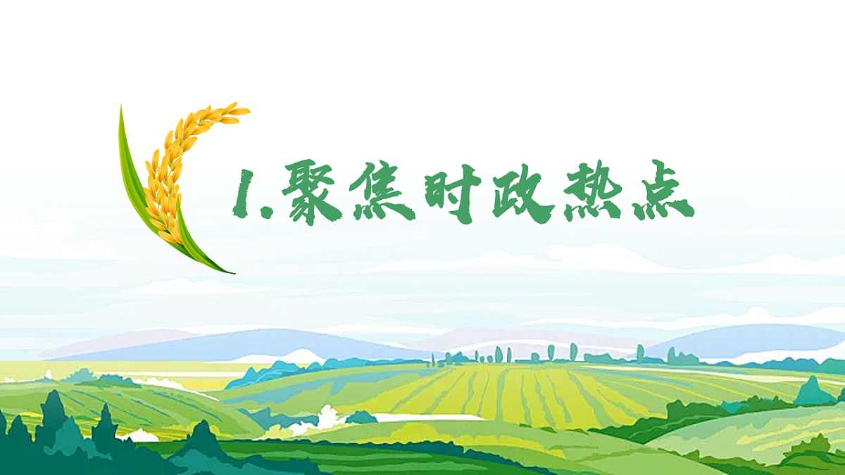 17904448第3页