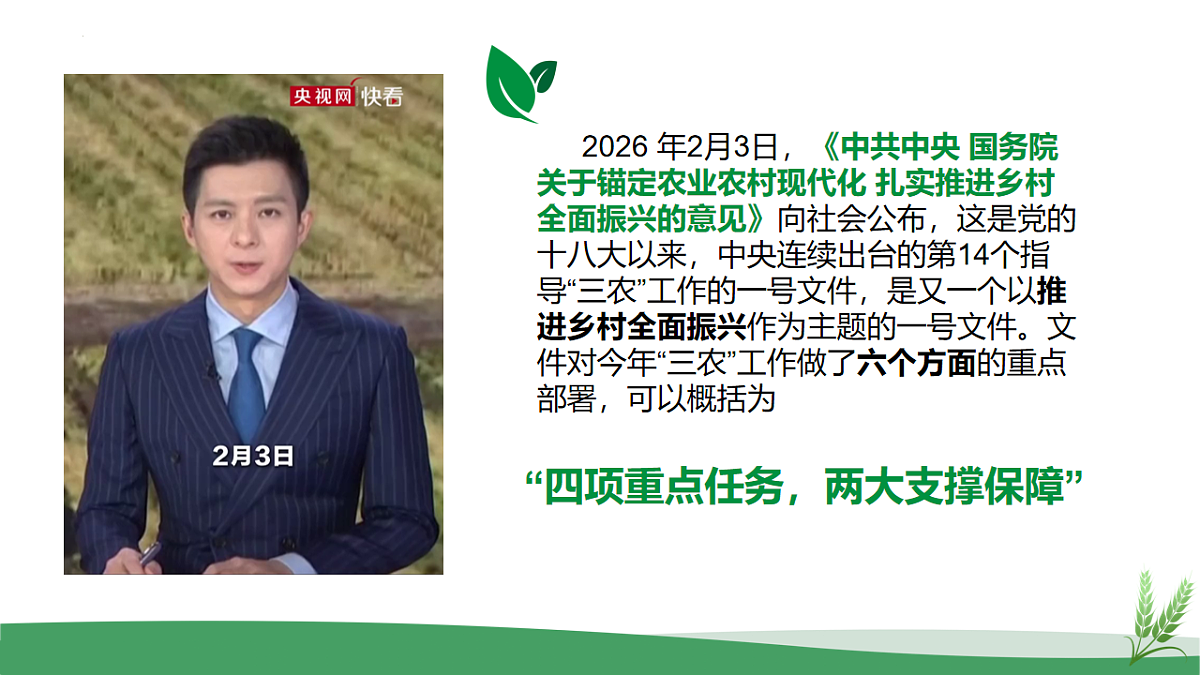 17904448第4页