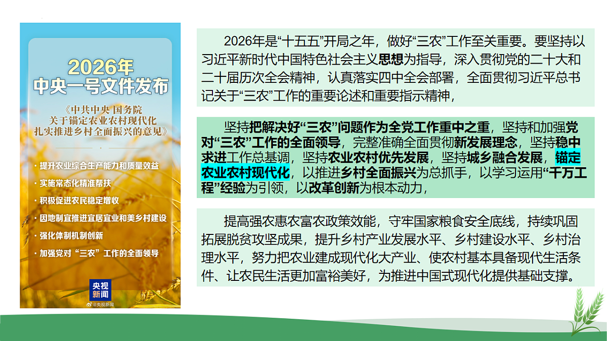 17904448第5页