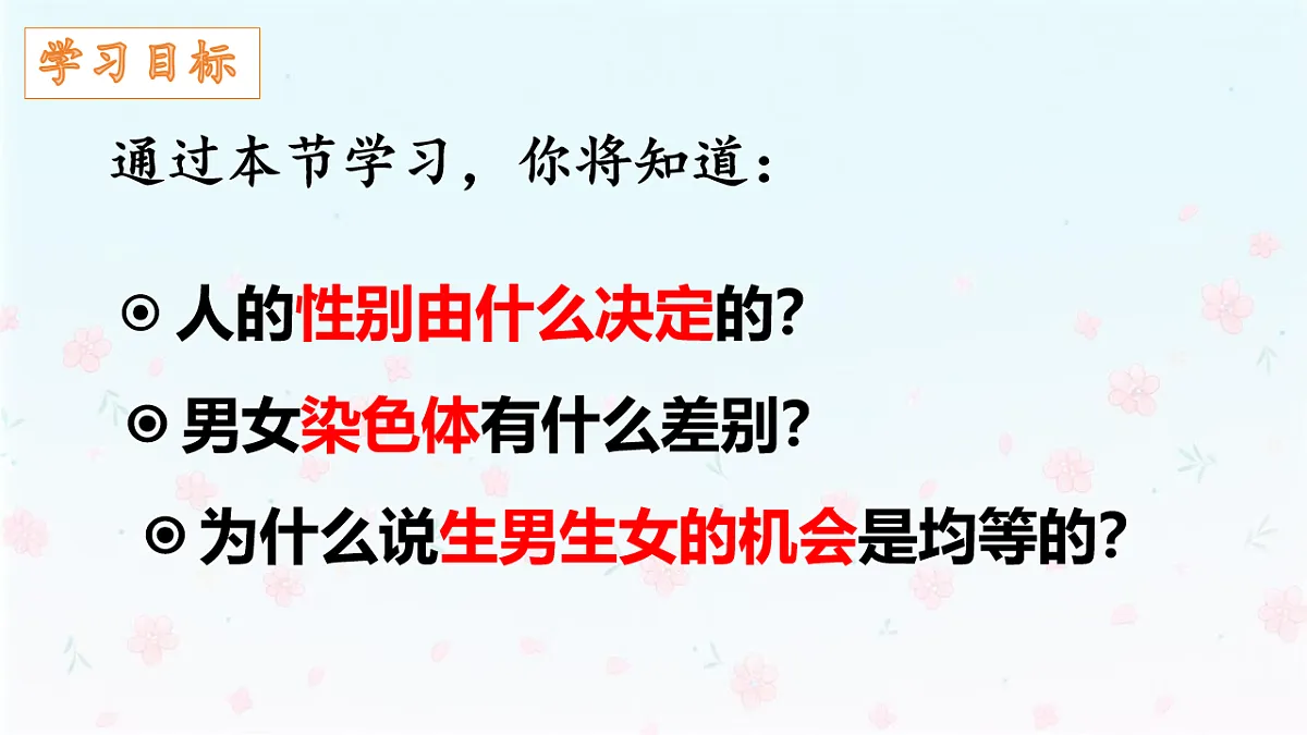 【核心生物】人教版初中生物八年级下册6.2.4《 人的性别决定》课件第3页