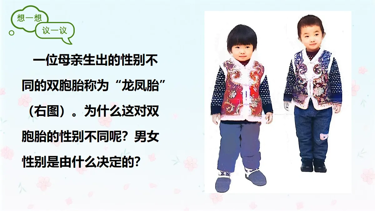 【核心生物】人教版初中生物八年级下册6.2.4《 人的性别决定》课件第4页