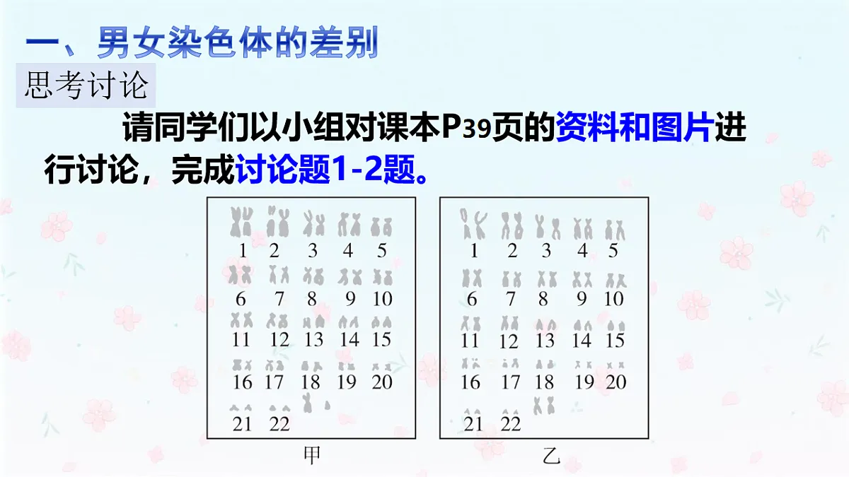 【核心生物】人教版初中生物八年级下册6.2.4《 人的性别决定》课件第6页