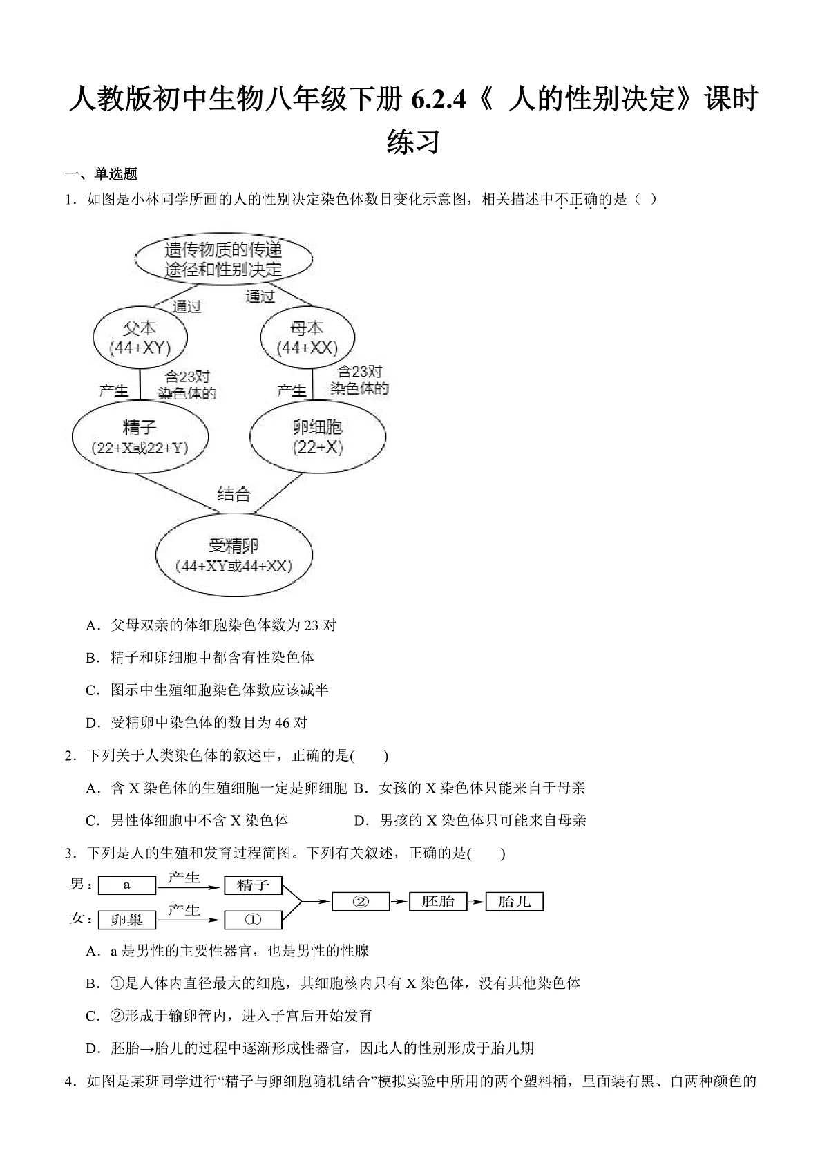 人教版初中生物八年级下册6.2.4《 人的性别决定》课时练习第1页