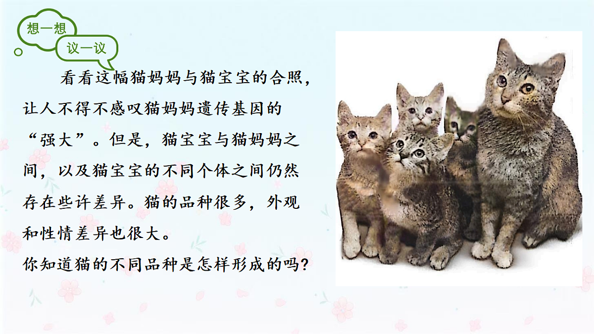 【核心生物】人教版初中生物八年级下册6.2.5《 生物的变异》课件第4页