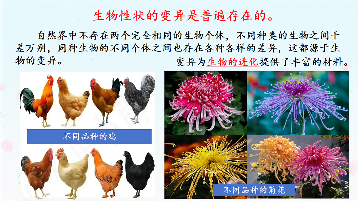 【核心生物】人教版初中生物八年级下册6.2.5《 生物的变异》课件第6页