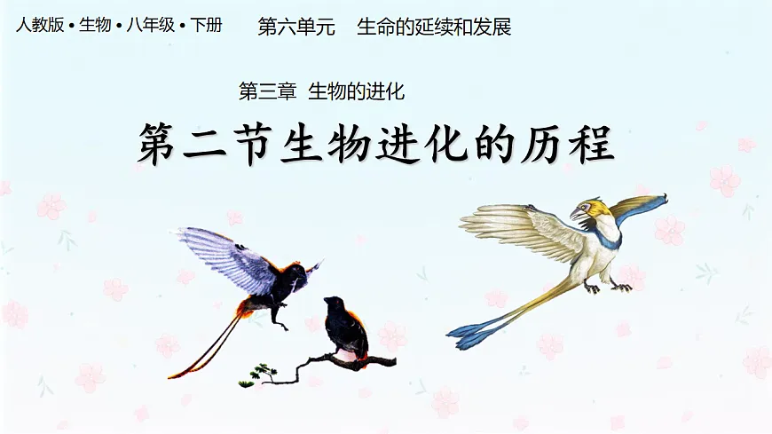 【核心生物】人教版初中生物八年级下册6.3.2《生物进化的历程》课件第1页