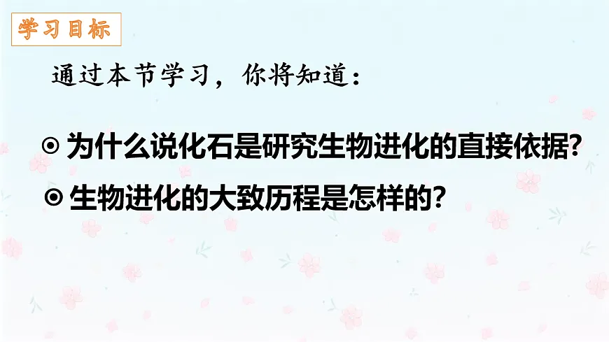 【核心生物】人教版初中生物八年级下册6.3.2《生物进化的历程》课件第3页