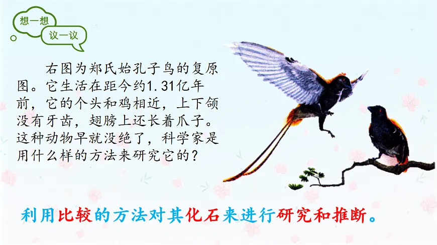 【核心生物】人教版初中生物八年级下册6.3.2《生物进化的历程》课件第4页