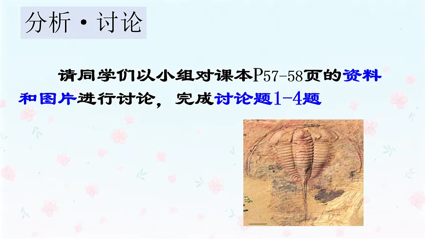 【核心生物】人教版初中生物八年级下册6.3.2《生物进化的历程》课件第6页