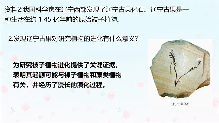 【核心生物】人教版初中生物八年级下册6.3.2《生物进化的历程》课件第8页