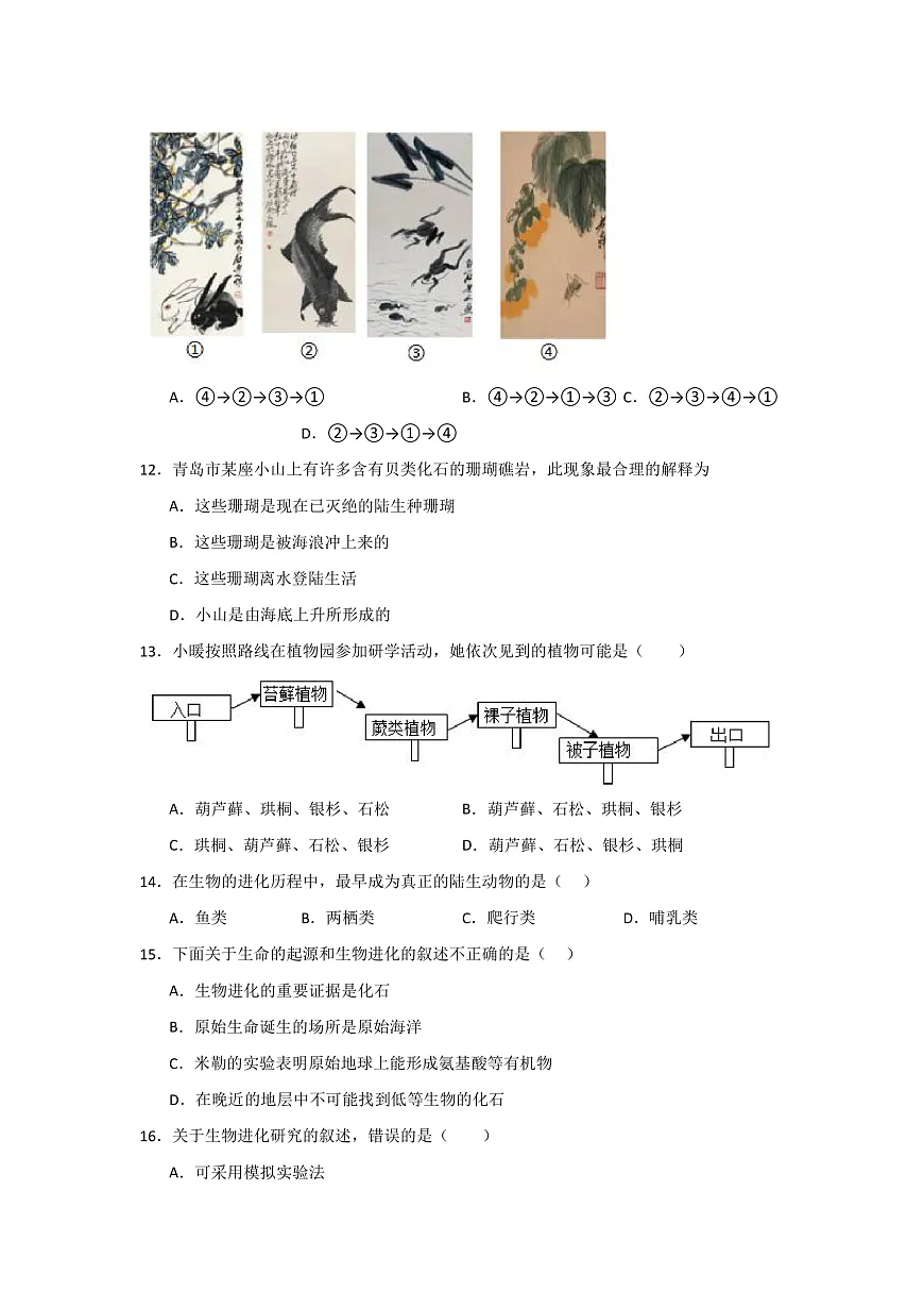 人教版初中生物八年级下册6.3.2《生物进化的历程》课时练习第3页