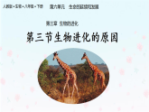 【核心生物】人教版初中生物八年级下册6.3.3《生物进化的原因》课件＋课时练习＋教案（含教学反思）