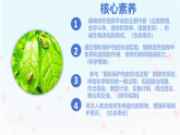 【核心生物】人教版初中生物八年级下册6.3.3《生物进化的原因》课件＋课时练习＋教案（含教学反思）