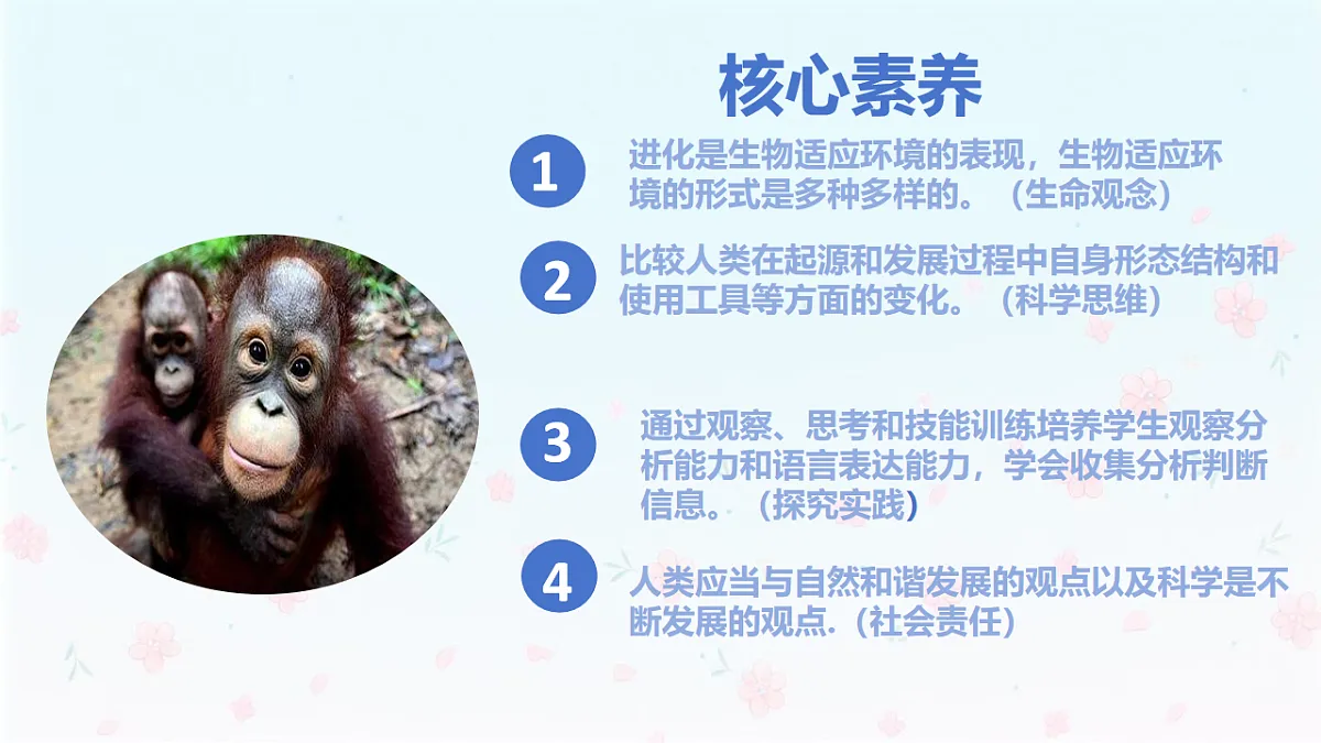 【核心生物】人教版初中生物八年级下册6.3.4《人类的起源》课件第2页