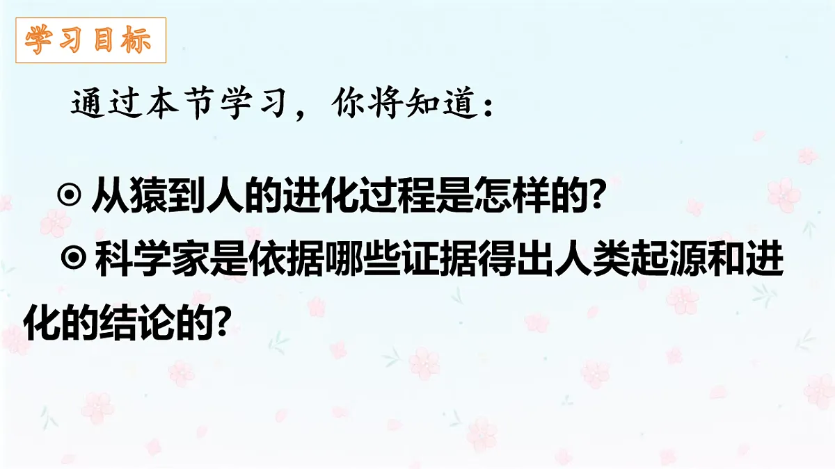 【核心生物】人教版初中生物八年级下册6.3.4《人类的起源》课件第3页