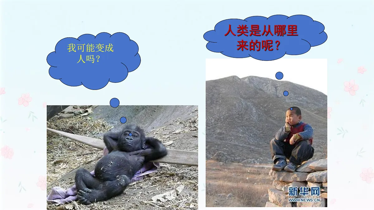 【核心生物】人教版初中生物八年级下册6.3.4《人类的起源》课件第5页