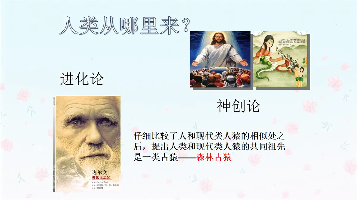 【核心生物】人教版初中生物八年级下册6.3.4《人类的起源》课件第6页