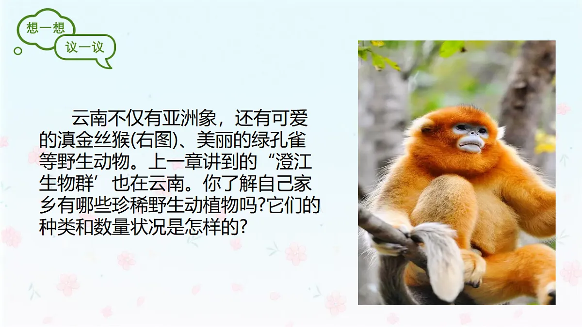 【核心生物】人教版初中生物八年级下册6.4.1《进化与生物多样性》课件第4页