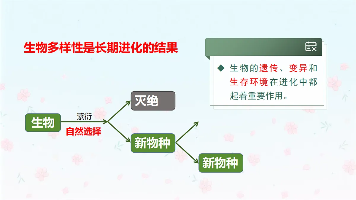 【核心生物】人教版初中生物八年级下册6.4.1《进化与生物多样性》课件第6页