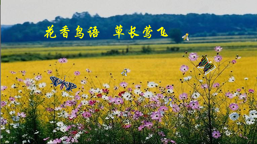 5《 大自然的语言》【2022新课标】课件第1页