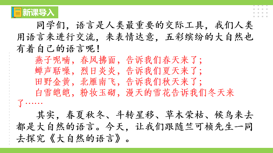 5《 大自然的语言》【2022新课标】课件第6页