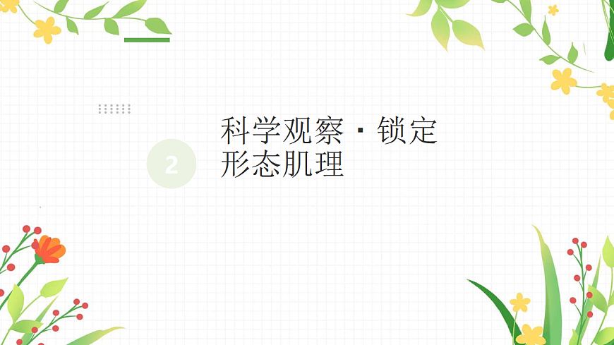 不息的生命：昆虫记录卡创作课第6页