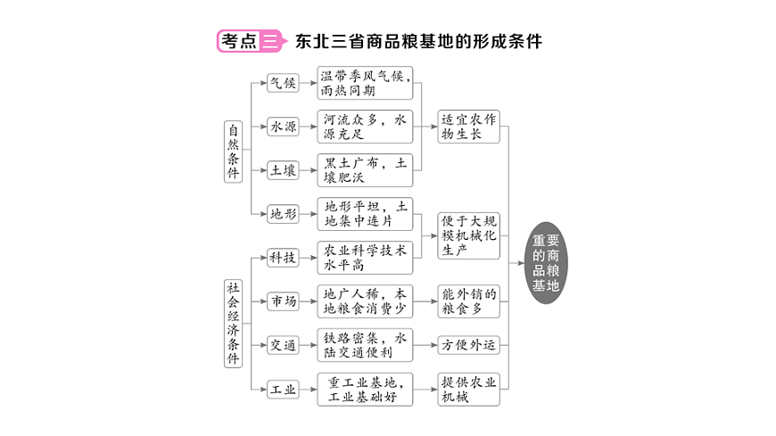 17905773第7页