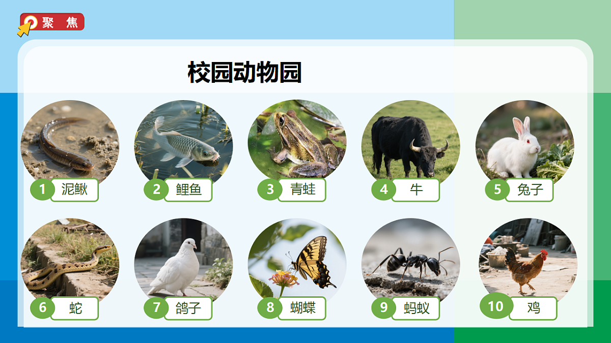 三下2-1《不同种类的动物》第2页