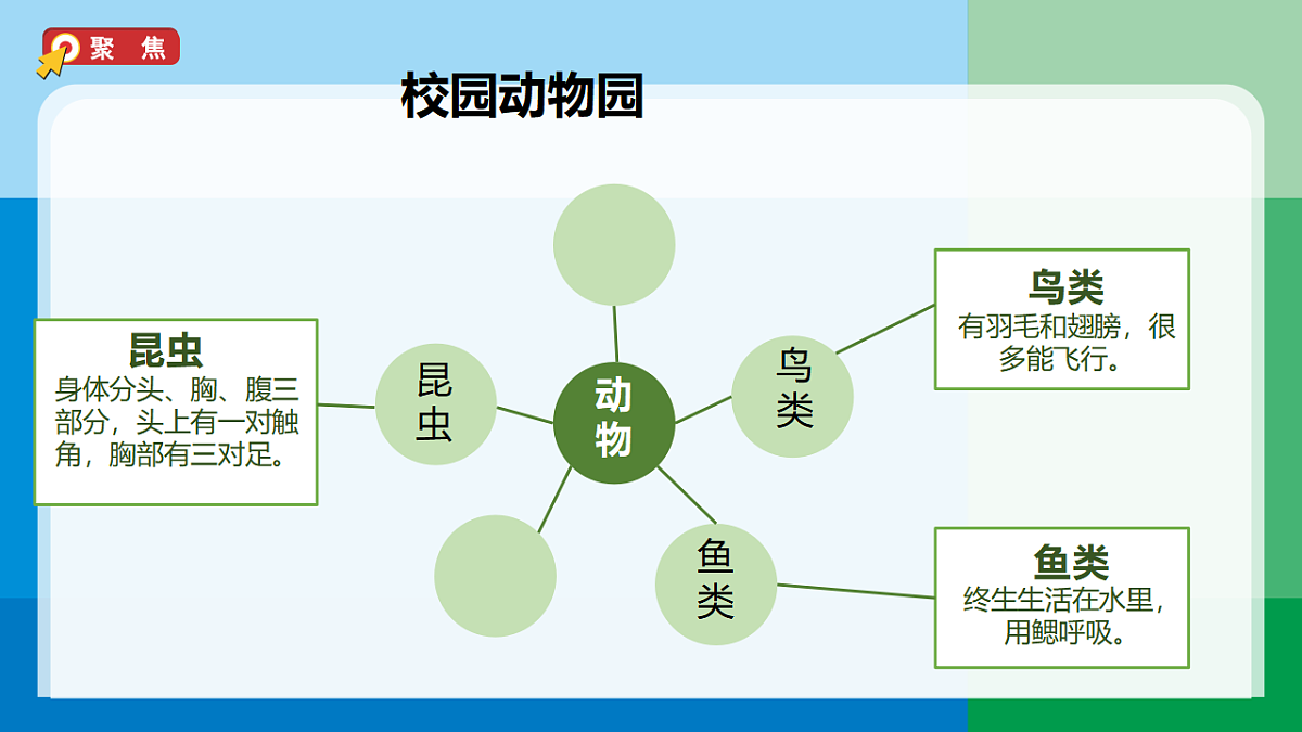 三下2-1《不同种类的动物》第3页