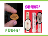 【任务型教学】统编语文八下11《 核舟记》 课件+教案+导学案（师生版）+同步测试（含答案）