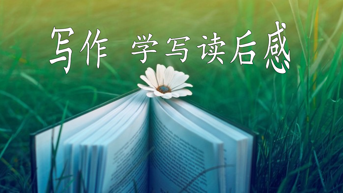八下第三单元写作《学写读后感》【2022新课标】课件第2页