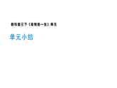 2026年教科版科学三年级下册 2.9《动物的一生 单元小结》 (教案+课件)
