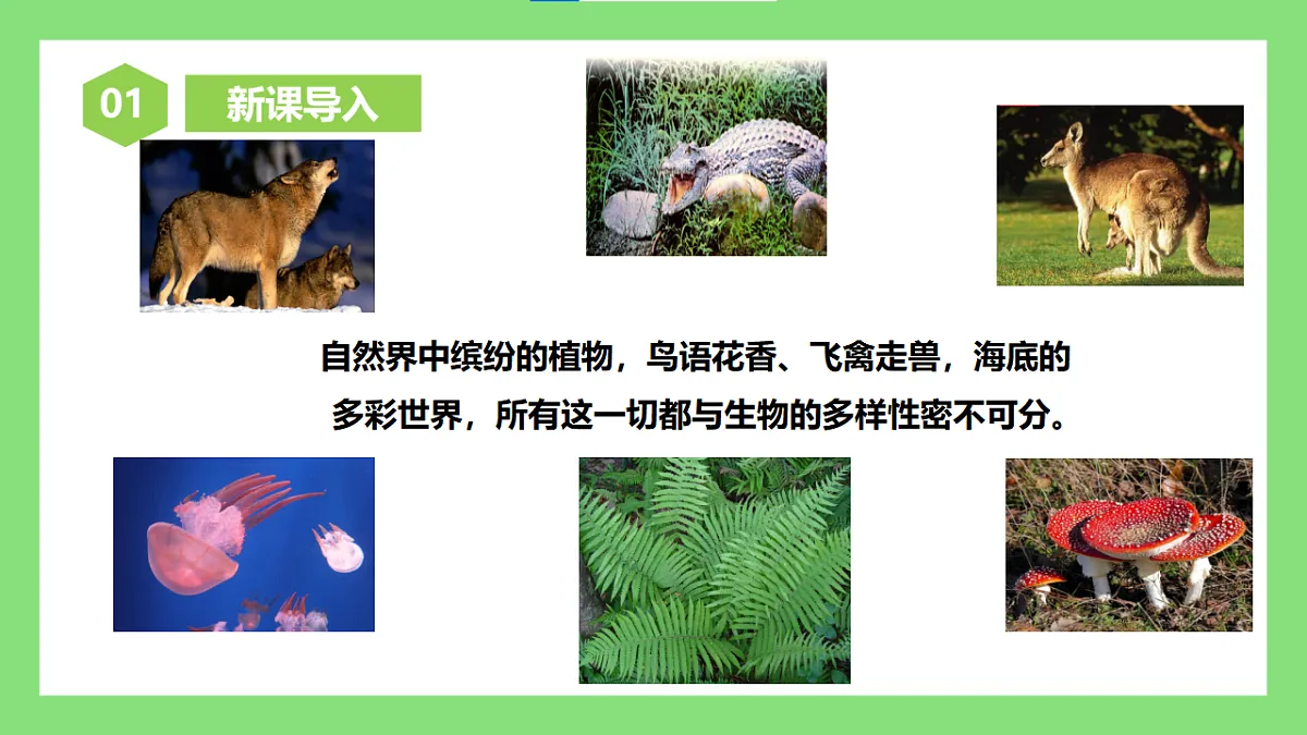 人教版初中生物八年级下册6.4.1《进化与生物多样性》课件第2页