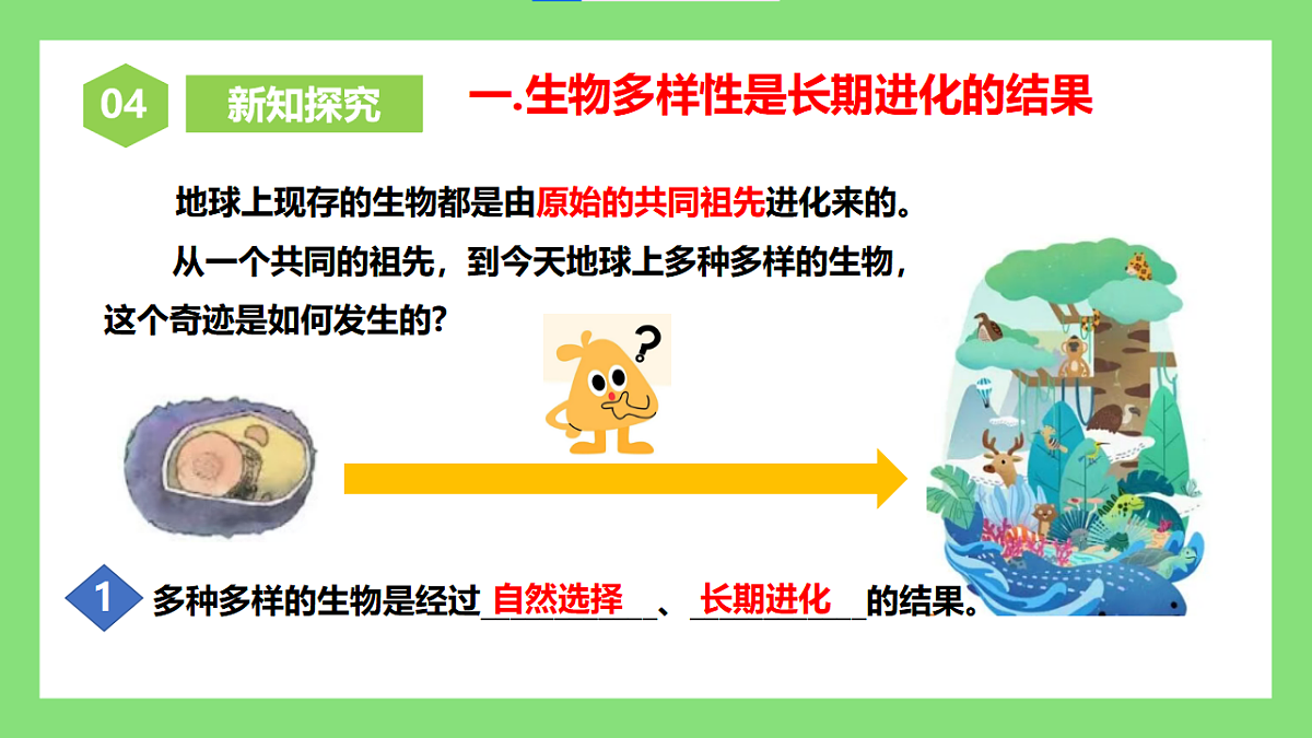 人教版初中生物八年级下册6.4.1《进化与生物多样性》课件第5页