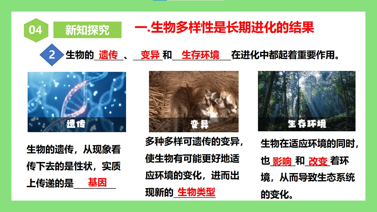 人教版初中生物八年级下册6.4.1《进化与生物多样性》课件第6页