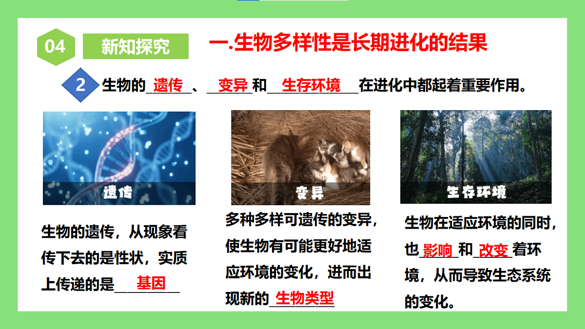 人教版初中生物八年级下册6.4.1《进化与生物多样性》课件第6页